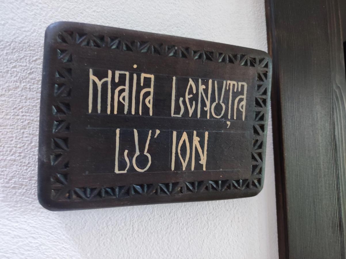 Ograda Bunicilor Vila Baia de Fier Exterior foto