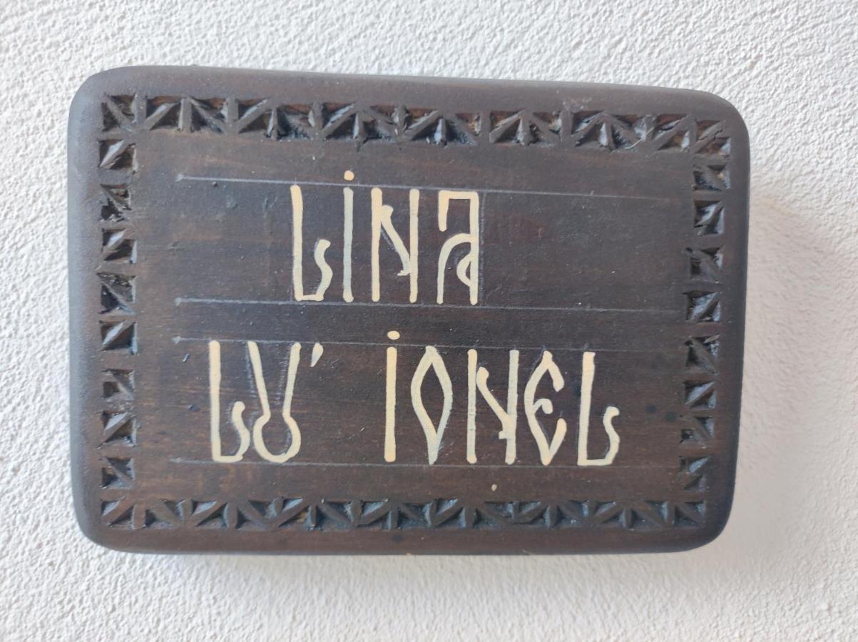 Ograda Bunicilor Vila Baia de Fier Exterior foto